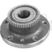 Wheel Hub Bearing Assembly (RENAULT)