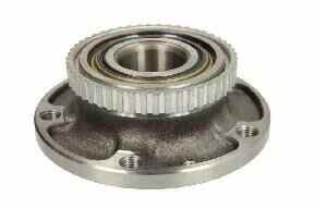 Wheel Hub Bearing Assembly (BMW)