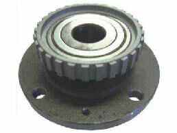 Wheel Hub Bearing Assembly (CITROEN)