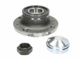 Wheel Hub Bearing Assembly (FIAT)